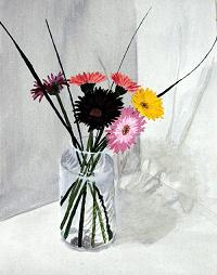 Zinnias still life