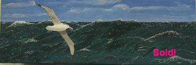 Royal Albatross Southern Ocean