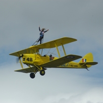 Tiger Moth Wing Walker